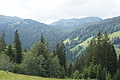 0597-DSC03681 - Bernhard Saalfeld