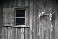 0602-DSC03686 - Bernhard Saalfeld