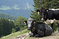0604-DSC03688 - Bernhard Saalfeld