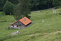 0608-DSC03692 - Bernhard Saalfeld