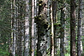0609-DSC03693 - Bernhard Saalfeld