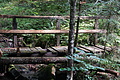 0611-DSC03695 - Bernhard Saalfeld