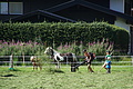 0618-DSC03702 - Bernhard Saalfeld