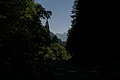 0619-DSC03703 - Bernhard Saalfeld