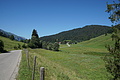 0620-DSC03704 - Bernhard Saalfeld