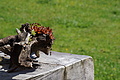 0632-DSC03716 - Bernhard Saalfeld