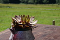 0634-DSC03718 - Bernhard Saalfeld