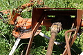 0637-DSC03721 - Bernhard Saalfeld