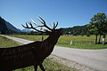 0644-DSC03728 - Bernhard Saalfeld
