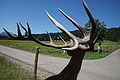 0645-DSC03729 - Bernhard Saalfeld