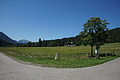 0646-DSC03730 - Bernhard Saalfeld