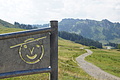 0671-DSC03756 - Bernhard Saalfeld