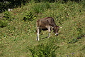 0672-DSC03757 - Bernhard Saalfeld