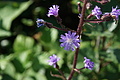0676-DSC03761 - Bernhard Saalfeld
