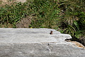 0678-DSC03763 - Bernhard Saalfeld