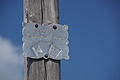 0706-DSC03791 - Bernhard Saalfeld
