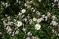 0709-DSC03794 - Bernhard Saalfeld