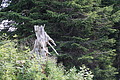 0713-DSC03798 - Bernhard Saalfeld