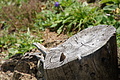 0714-DSC03799 - Bernhard Saalfeld