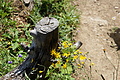0715-DSC03800 - Bernhard Saalfeld