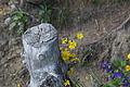 0716-DSC03801 - Bernhard Saalfeld