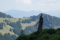 0720-DSC03805 - Bernhard Saalfeld