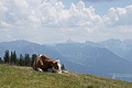 0724-DSC03809 - Bernhard Saalfeld