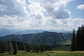 0727-DSC03812 - Bernhard Saalfeld