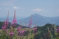 0740-DSC03825 - Bernhard Saalfeld