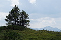 0748-DSC03833 - Bernhard Saalfeld