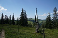 0751-DSC03836 - Bernhard Saalfeld