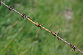 0753-DSC03838 - Bernhard Saalfeld