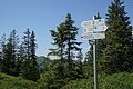 0757-DSC03842 - Bernhard Saalfeld