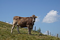 0758-DSC03843 - Bernhard Saalfeld