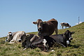 0759-DSC03844 - Bernhard Saalfeld
