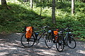 0787-DSC03863 - Bernhard Saalfeld