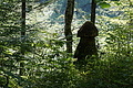 0788-DSC03864 - Bernhard Saalfeld