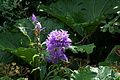 0793-DSC03869 - Bernhard Saalfeld