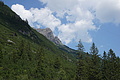 0808-DSC03884 - Bernhard Saalfeld