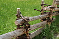 0830-DSC03906 - Bernhard Saalfeld