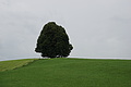 0870-DSC03947 - Bernhard Saalfeld