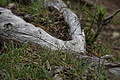 0872-DSC03949 - Bernhard Saalfeld
