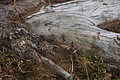 0876-DSC03953 - Bernhard Saalfeld