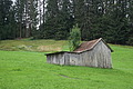 0880-DSC03957 - Bernhard Saalfeld