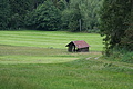 0882-DSC03959 - Bernhard Saalfeld