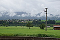 0899-DSC03977 - Bernhard Saalfeld