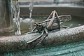 0928-DSC04006 - Bernhard Saalfeld