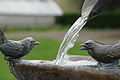 0930-DSC04008 - Bernhard Saalfeld