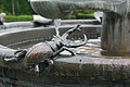 0931-DSC04009 - Bernhard Saalfeld