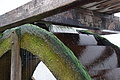 0935-DSC04013 - Bernhard Saalfeld